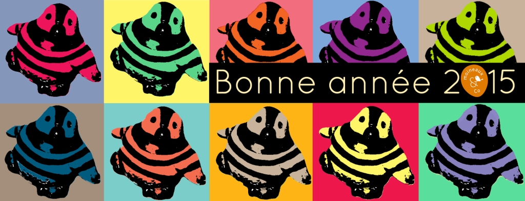 Voeux 2015
