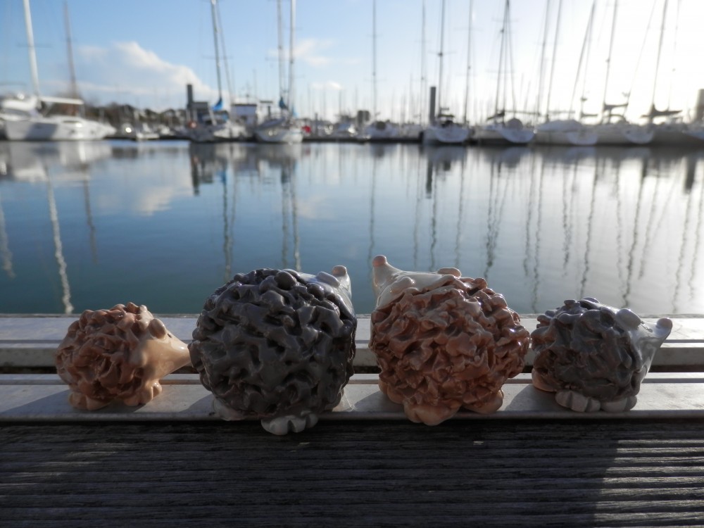 La famille Hedgehog La famille Hedgehog