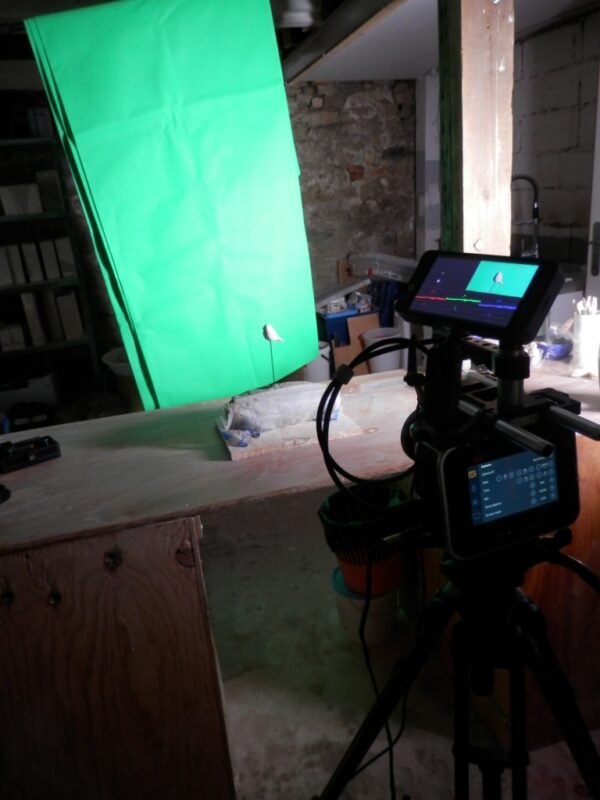 Le petit moineau est filmé sur fond vert (comme pour la météo ;-)). L'idée est de réaliser une petite animation que vous découvrirez dans la vidéo... tournage video presentation moineaux and co atelier boutique createurs quimper fabrication ceramique idées cadeaux