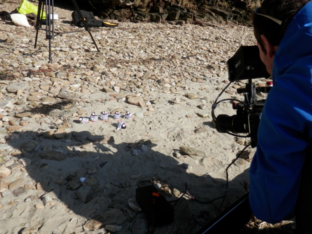 Stefan filme les figurines pingouins... tournage video presentation moineauxandco atelier boutique createurs quimper faience ceramique