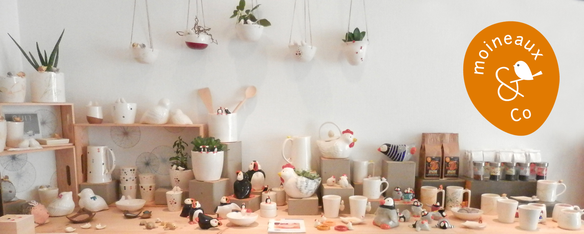 professionnels et distributeurs moineauxandco